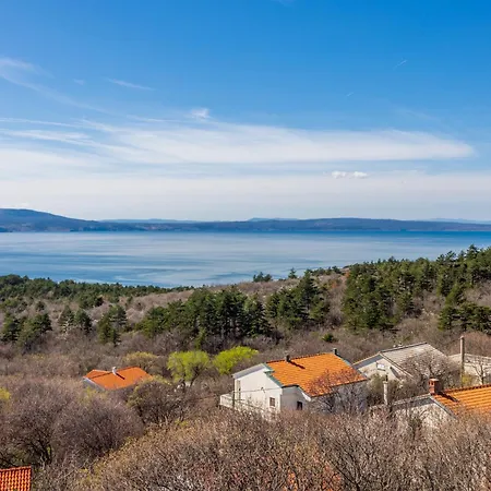 Pavicic
